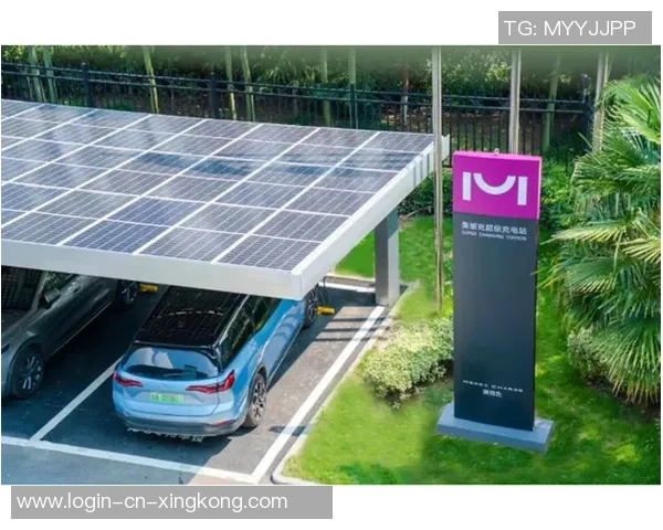 张江中学足球场周边环境与设施提升计划探讨与展望 张江中学足球场周边环境与设施提升计划探讨与展望